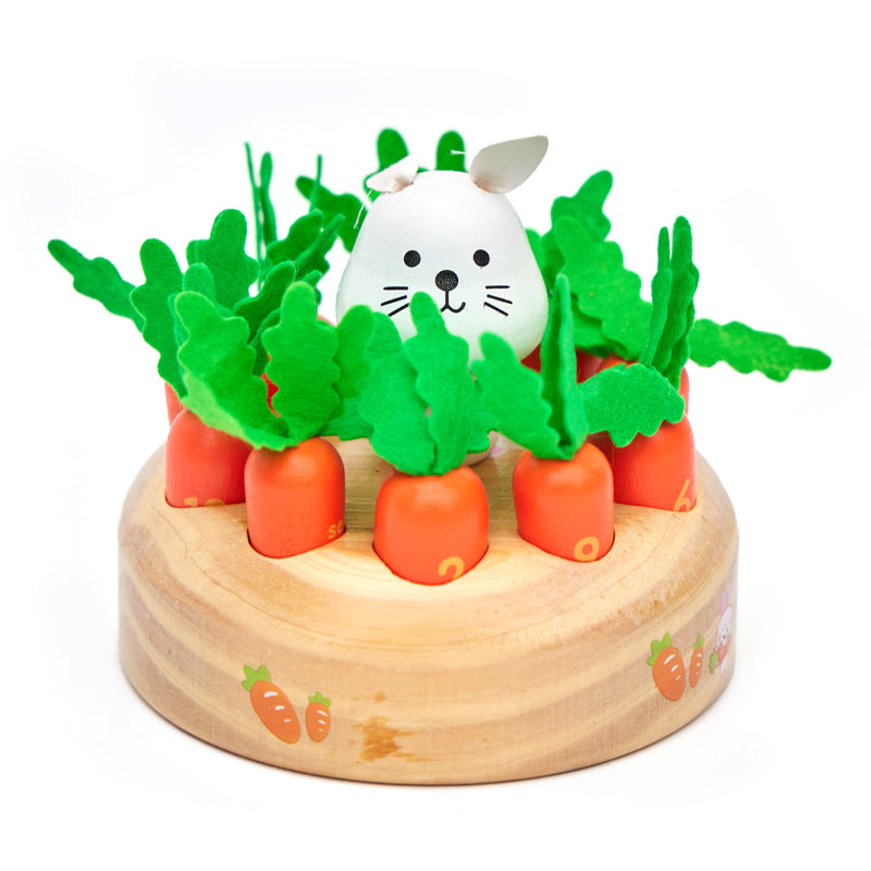 Wooden Carrots Harvest Toy Set (1 Pack)