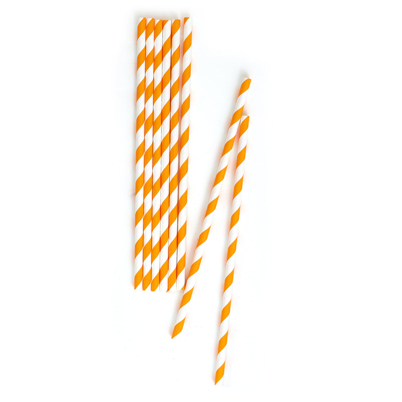 Orange Stripe Paper Straws (20 Pieces)