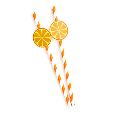 Orange Paper Straws (20 Pieces)